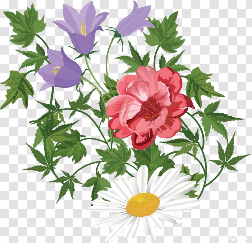 Flower Floral Design Clip Art - Annual Plant - Pretty Flowers Transparent PNG