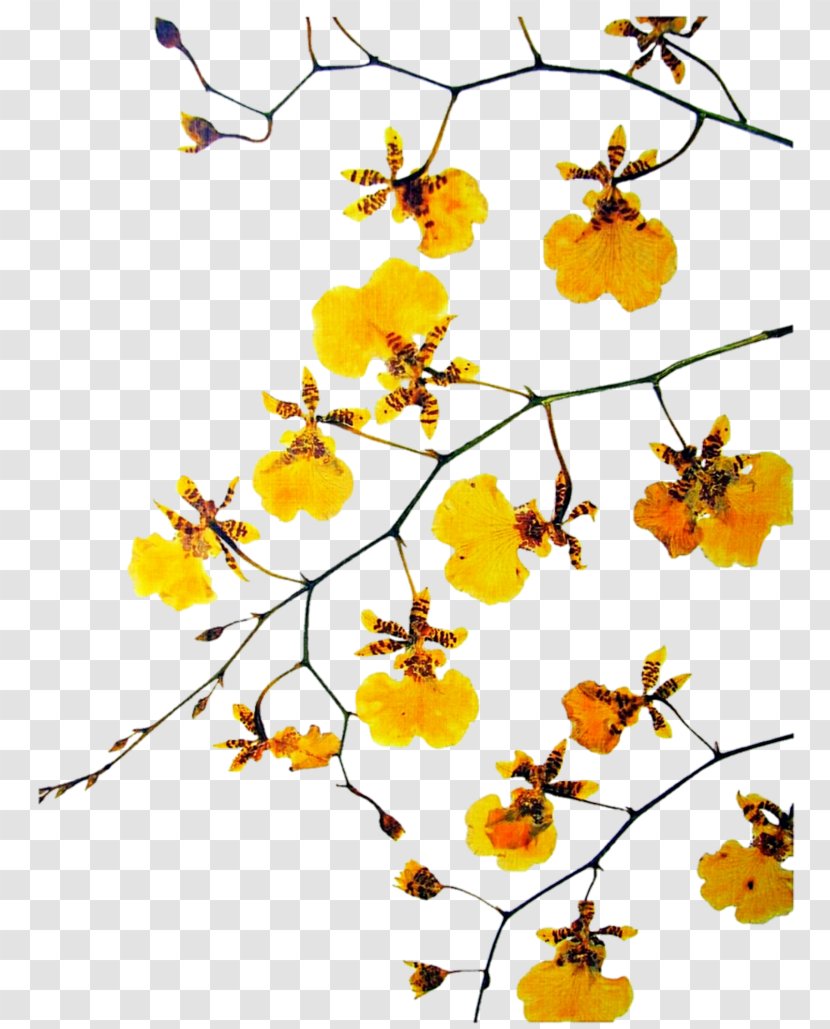 DeviantArt Cut Flowers Clip Art - Branch - Flower Transparent PNG