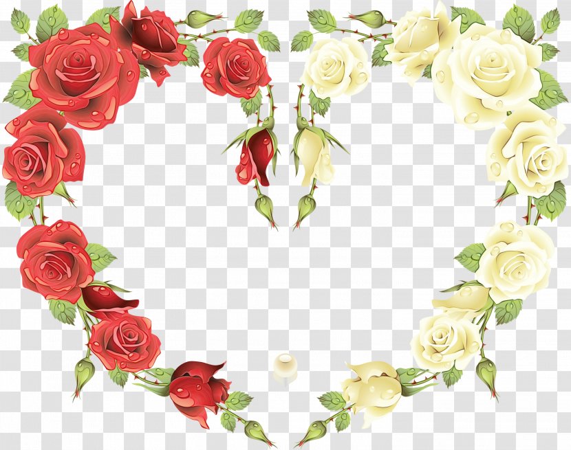Garden Roses - Rose Family - Petal Valentines Day Transparent PNG