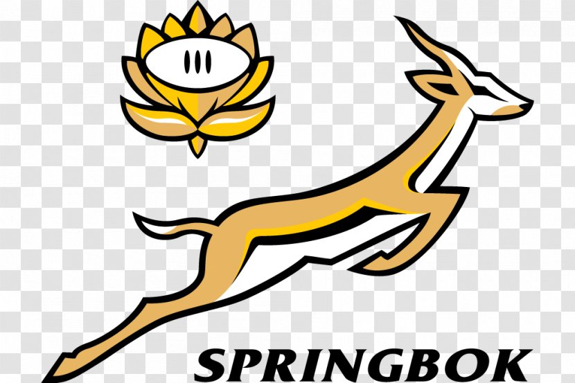 South Africa National Rugby Union Team 2017 Championship Springbok New Zealand Australia - Wildlife - Colorful Vector Transparent PNG