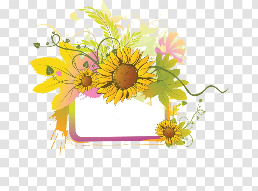Common Sunflower Daisy Family Clip Art - Flower Transparent PNG