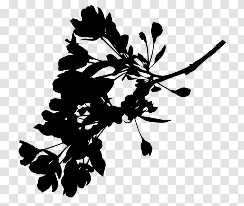 M / 0d Black & White - Plants - Plant Stem Leaf Flower Transparent PNG