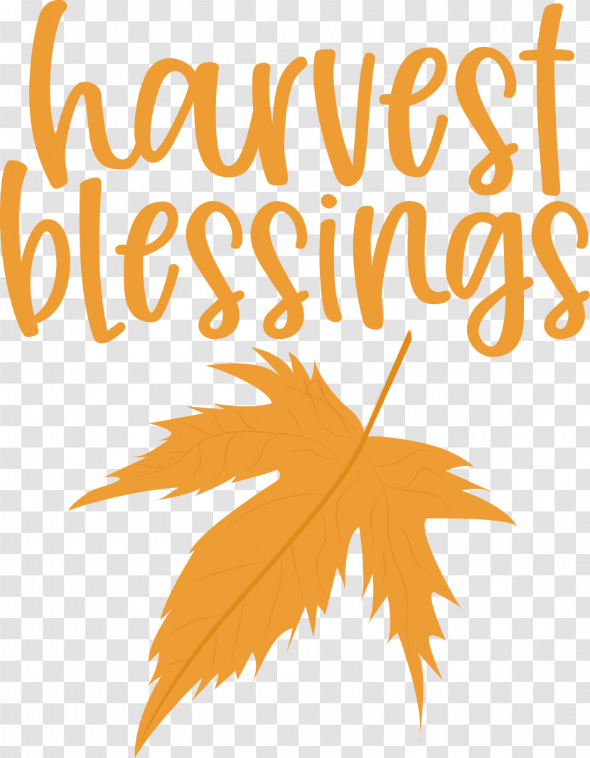 Harvest Thanksgiving Autumn Transparent PNG