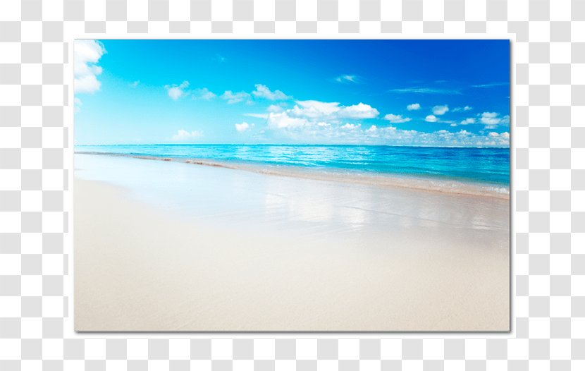 Caribbean Shore Beach Turquoise Sky Plc Transparent PNG