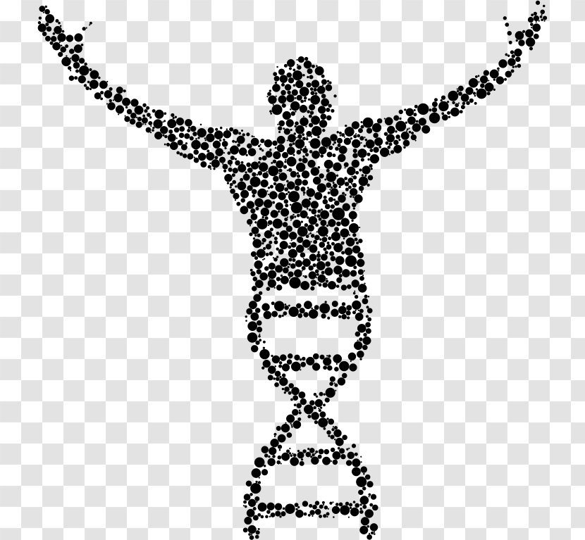 Genetics DNA Biology Nucleic Acid Double Helix - Base Pair - Science Transparent PNG
