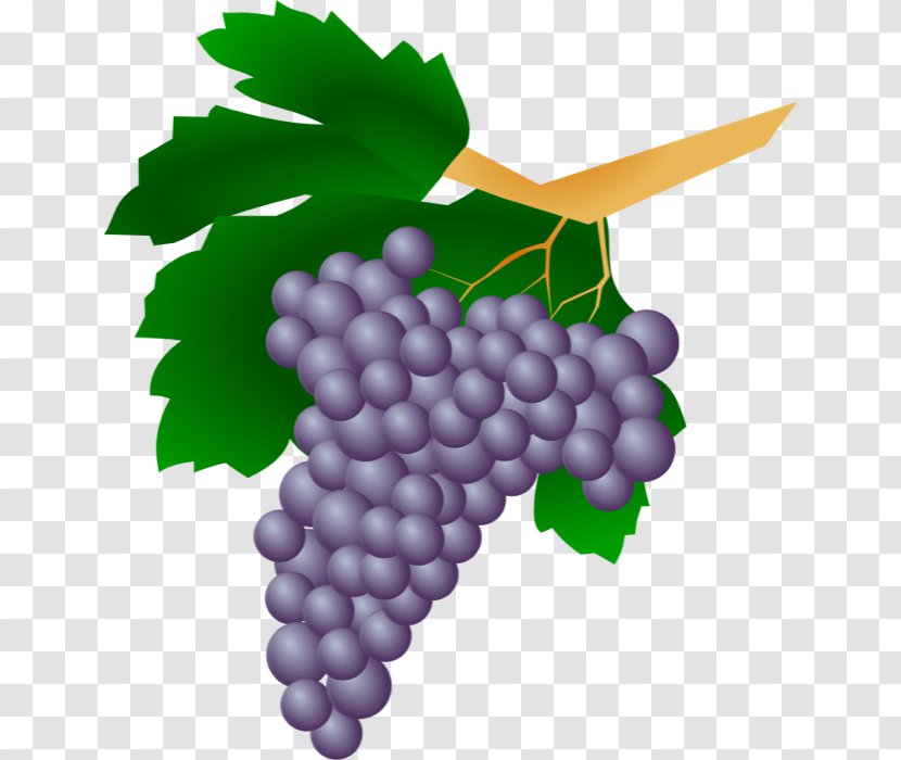 Common Grape Vine Straw Wine Grappa Clip Art - Pictures Of Grapes Transparent PNG
