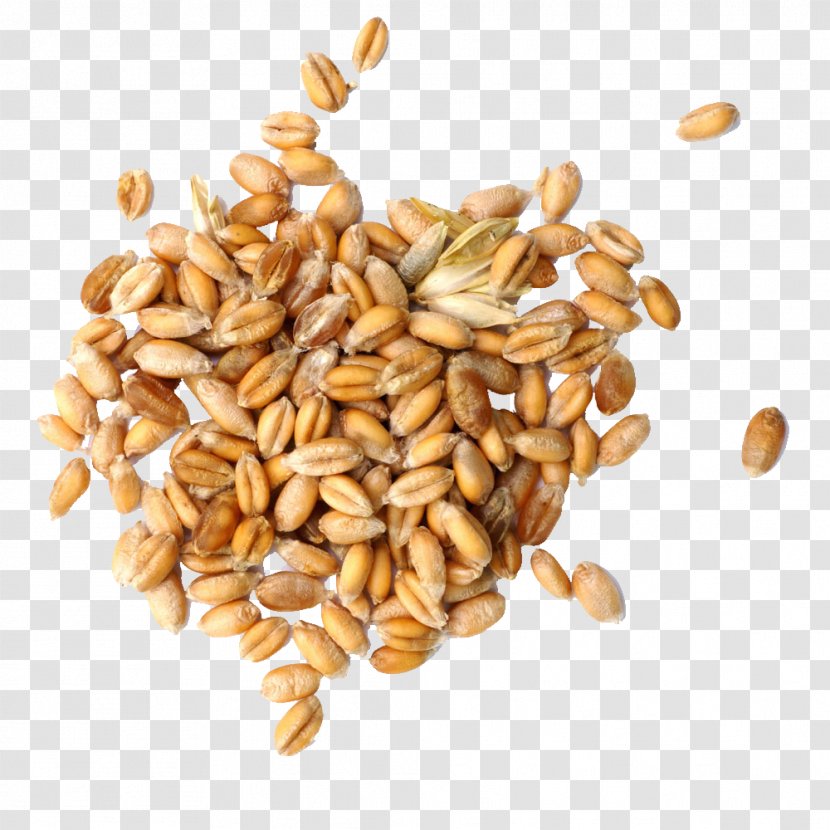 Cereal Germ Wheat Grain Transparent PNG