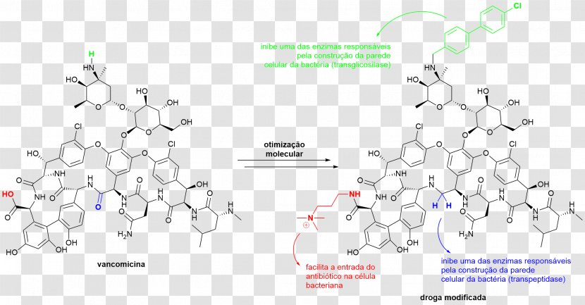 Vancomycin Antibiotics Antimicrobial Resistance Drug - Map - Astronomia Nova Transparent PNG