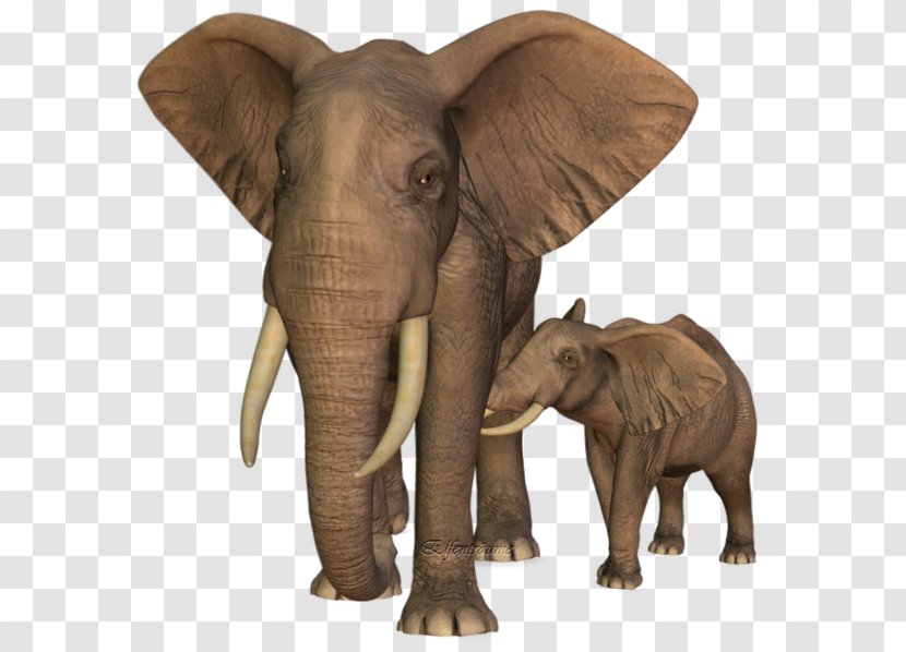 Indian Elephant African Wildlife Elephantidae - People - India Transparent PNG