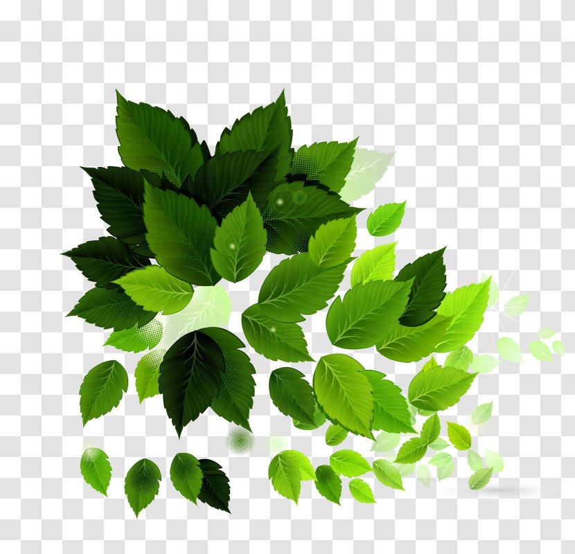 Electroporation Royalty-free Green Illustration - Portable Document Format - Leaf Background Image Transparent PNG