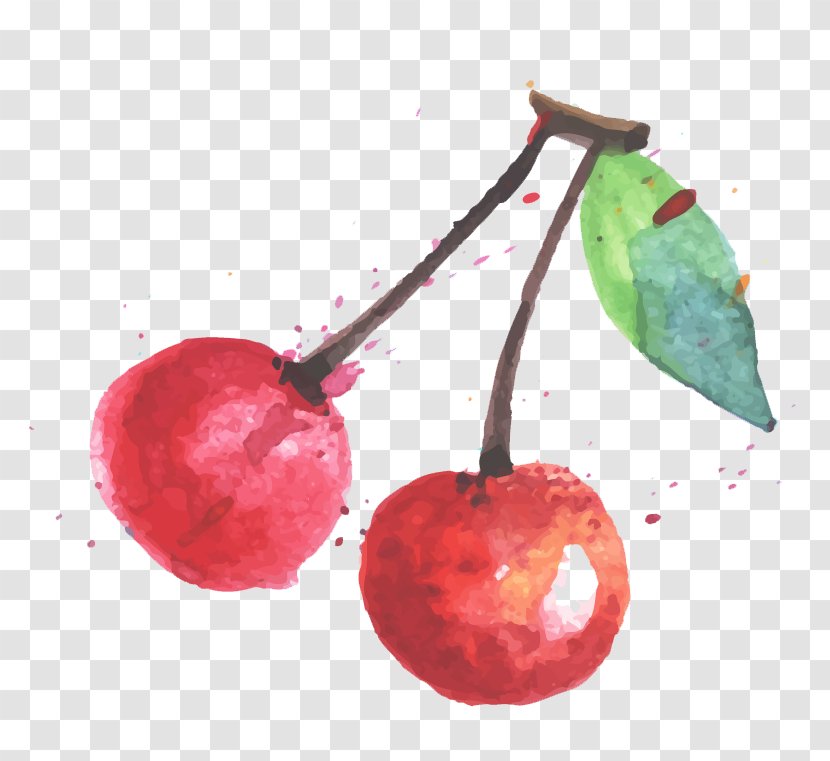 IPhone 6s Plus 6 4 5s - Iphone - Stained Cherry Transparent PNG