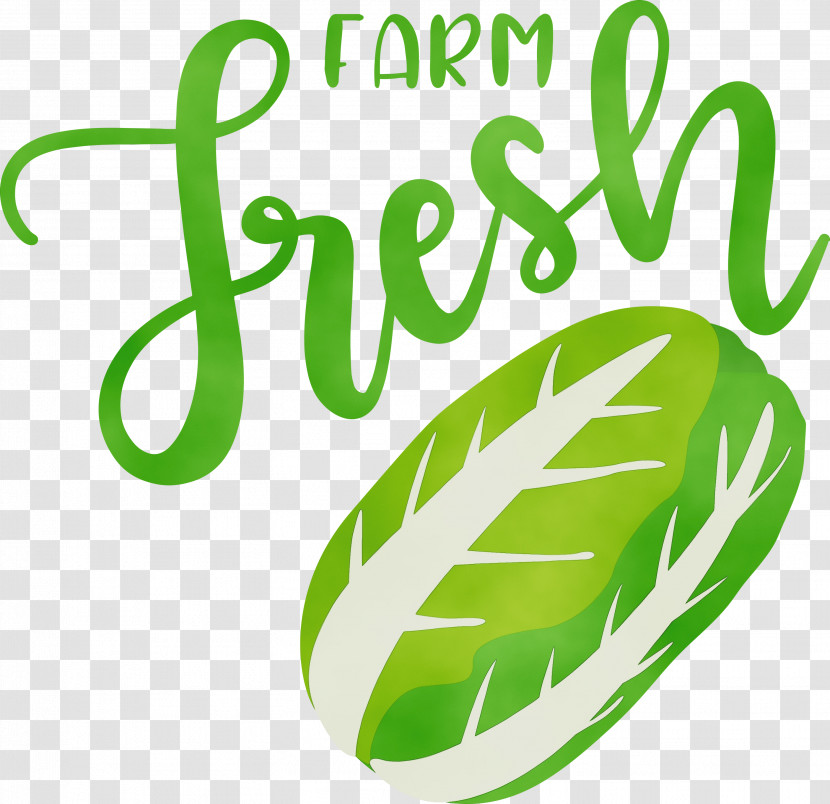 Logo Leaf Green Meter Fruit Transparent PNG
