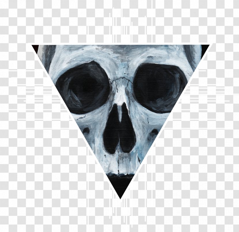 Skull - Bone Transparent PNG