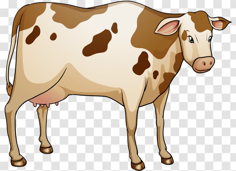 Lakenvelder Cattle Dairy Illustration - Cow Goat Family - Flower Transparent PNG
