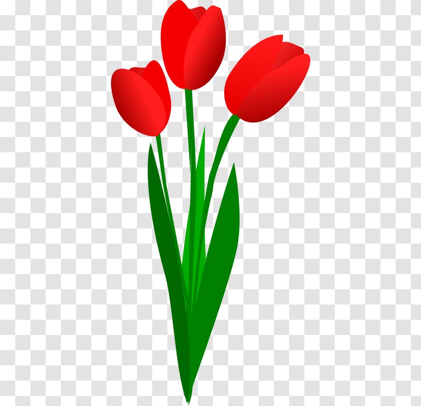 Clip Art Openclipart Tulip Flower - Lily Family Transparent PNG