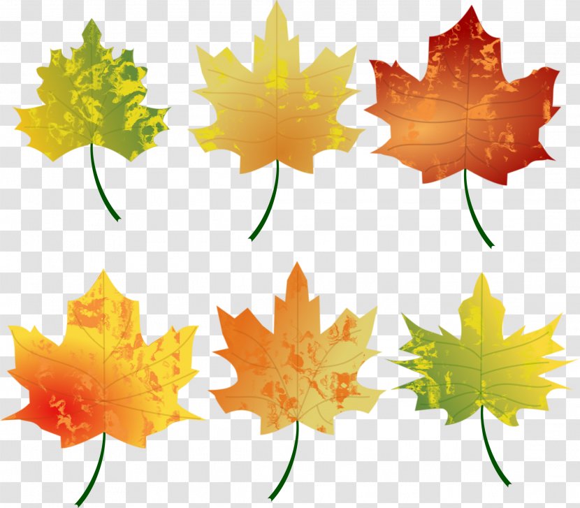 Autumn Leaf Color Clip Art - Tree - WATERCOLOR LEAF Transparent PNG