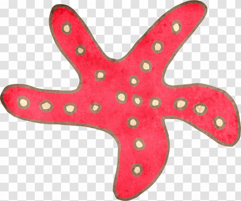 Starfish - Red Transparent PNG