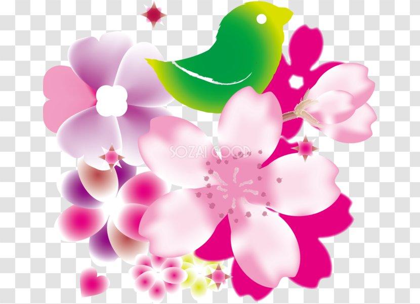 Cherry Blossom 日本の中小企業: 少子高齢化時代の起業・経営・承継 原発棄民: フクシマ5年後の真実 Flower - Petal - Ai.zip Transparent PNG