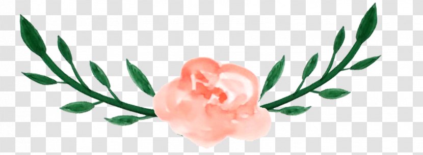 Floral Design Cut Flowers Petal Bud - Flower Transparent PNG