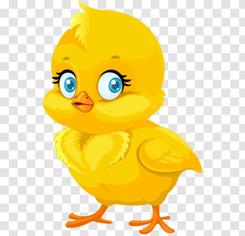 Chicken Cartoon Royalty-free Clip Art - Drawing - Little Yellow Duck Transparent PNG
