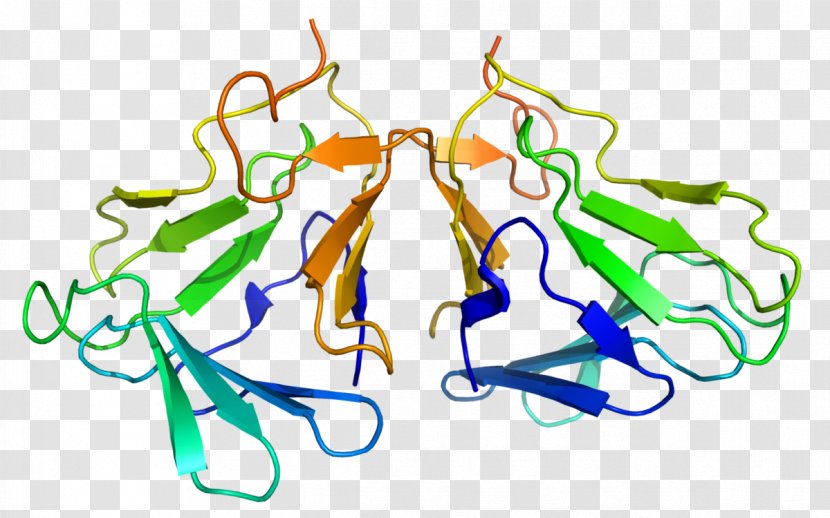 Curculigo Curculin Sweetness Miraculin Protein - Silhouette - Model Structure Transparent PNG