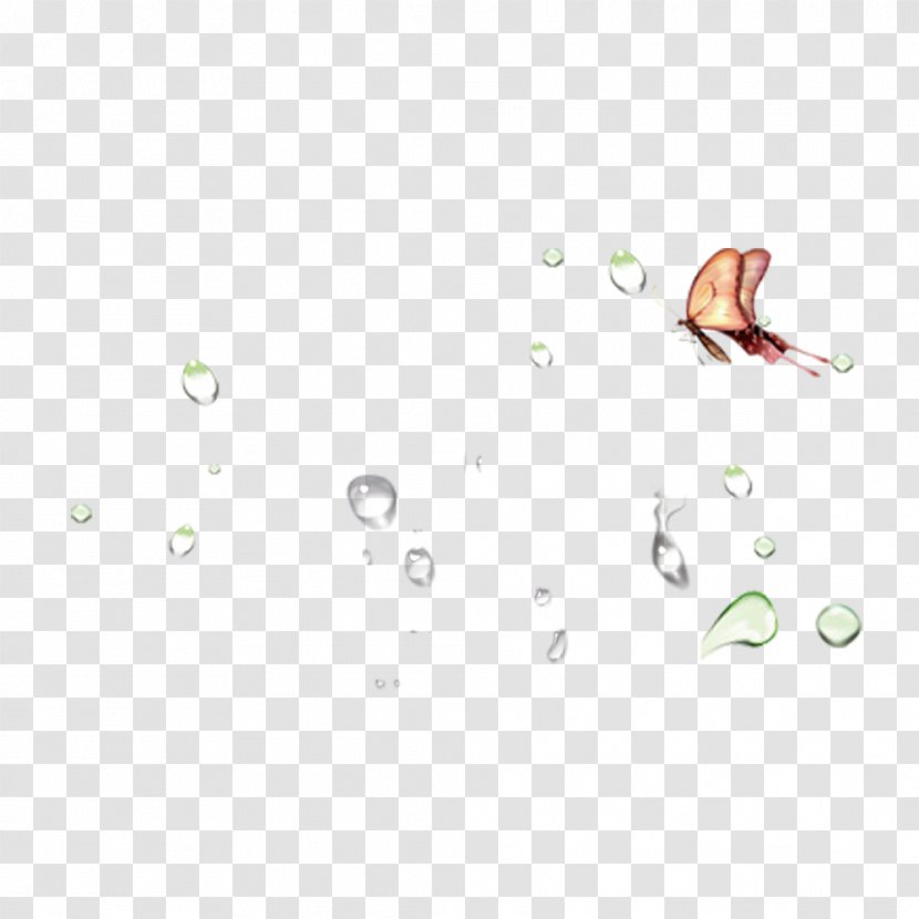 Chiang Mai Cosmetics Cosmetology - Text - Butterfly With Water Drops Creative Transparent PNG