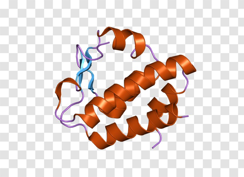 NGLY1 Peptide-N4-(N-acetyl-beta-glucosaminyl)asparagine Amidase ase F N-glycanase 1 - Peptiden4nacetylbetaglucosaminylasparagine - Ethan Carter Iii Transparent PNG
