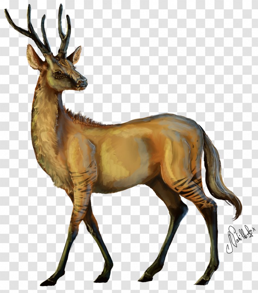 Elk Reindeer Musk Deers Antelope - Horn Transparent PNG