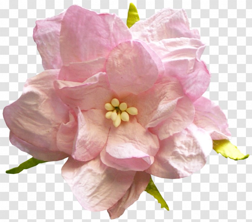 Flower Rose - Violet Transparent PNG