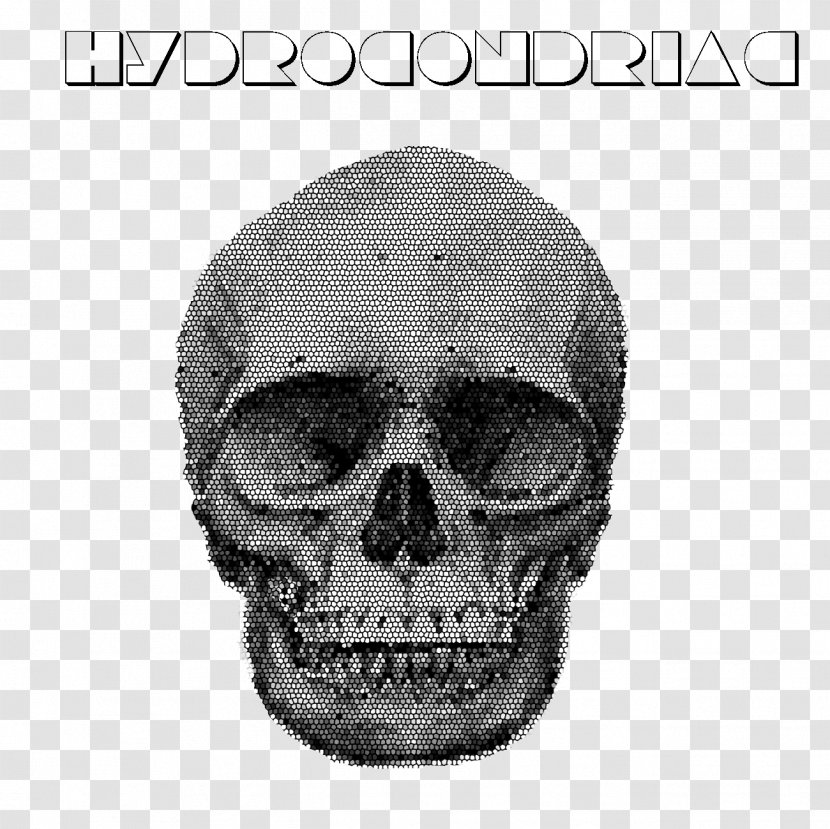 Skull Bone Jaw Snout Monochrome - Notorious Transparent PNG