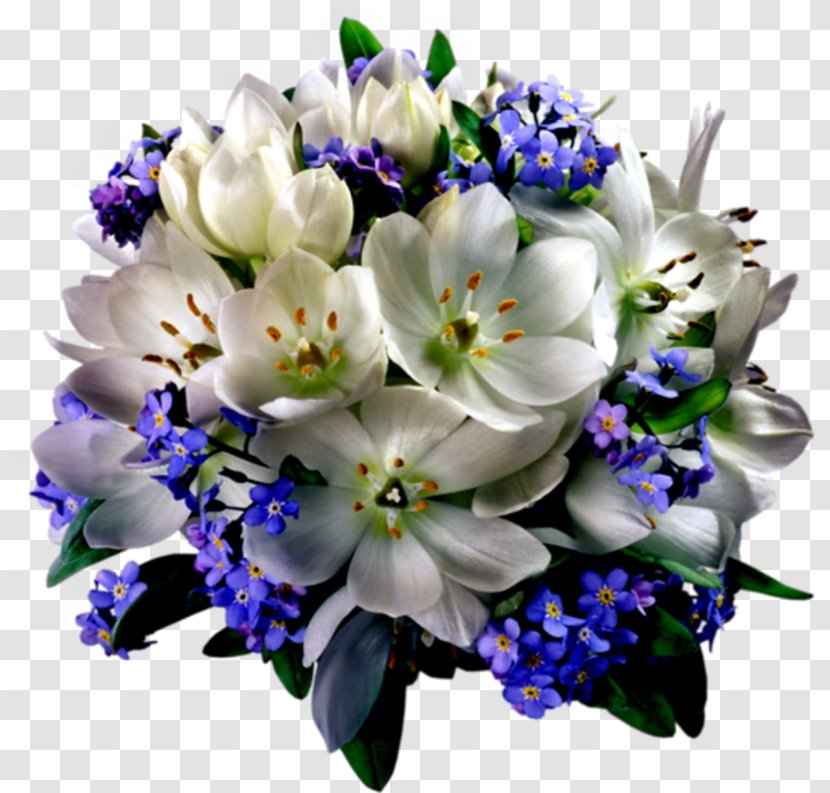 Flower Bouquet Floral Design Clip Art - Flowering Plant Transparent PNG