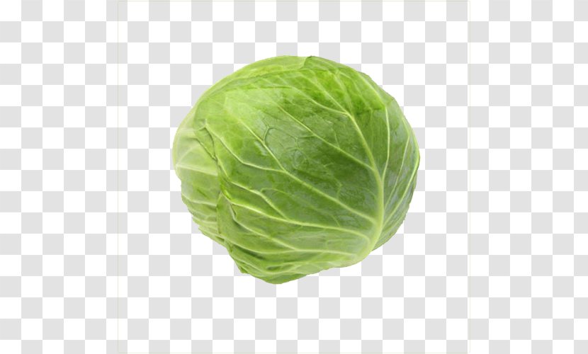 Cabbage Roll Tonkatsu Food Vegetable - Leaf - Green Transparent PNG