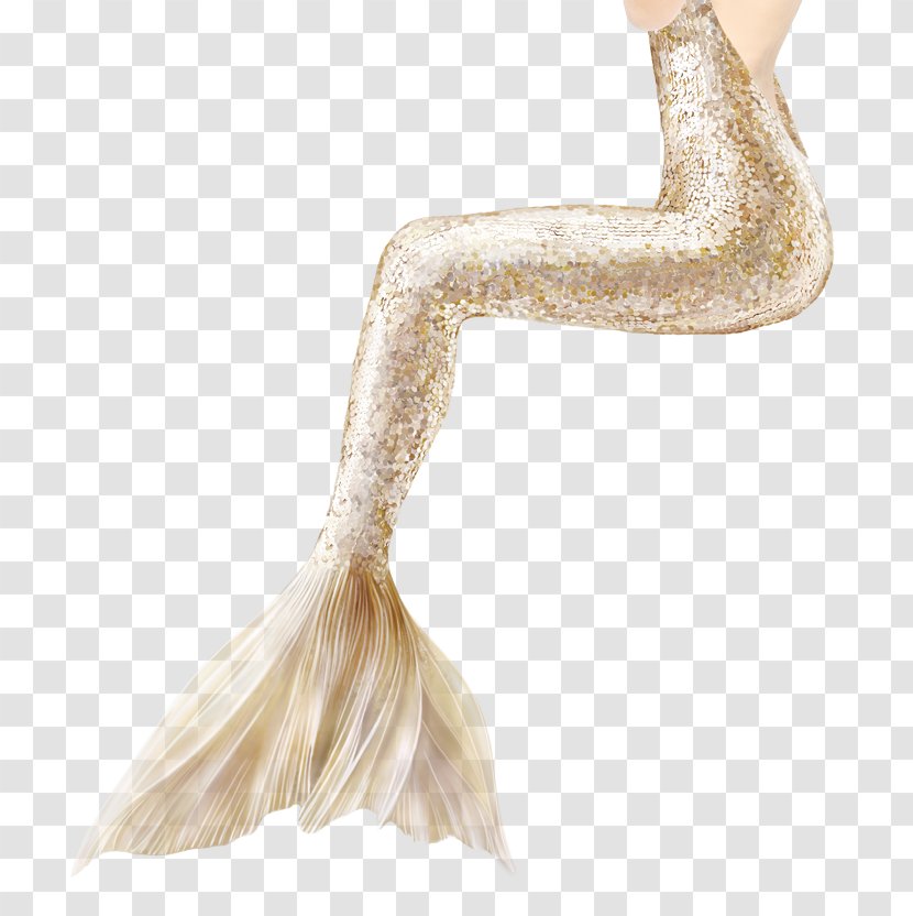 Mermaid Tail Art Fairy Tale - Neck Transparent PNG