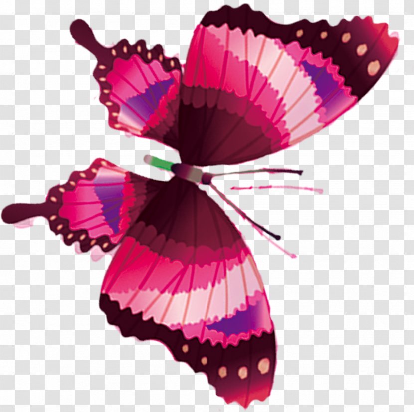 Butterfly Flower Icon - Arthropod Transparent PNG