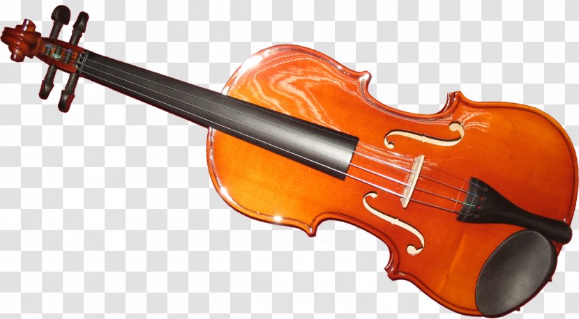 Violin Family Double Bass Musical Instruments Viola - Flower - Electro Dj Transparent PNG