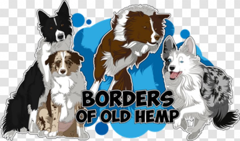 Dog Breed Border Collie Rough Old Hemp - Like Mammal - Mischling Transparent PNG