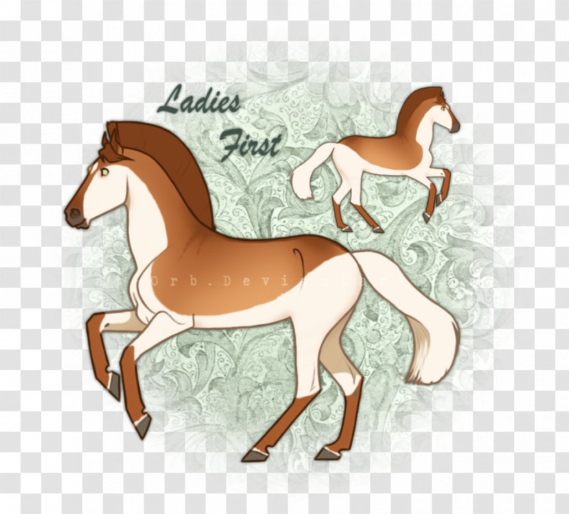 Mustang Foal Stallion Colt Pony Transparent PNG