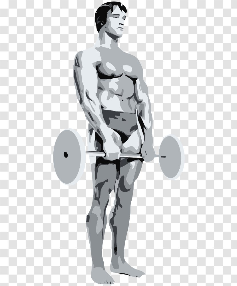 Mr. Olympia Bodybuilding Exercise Image Actor - Silhouette Transparent PNG