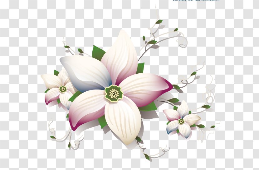 Flower Drawing - Blossom - Vector Floral Material Transparent PNG