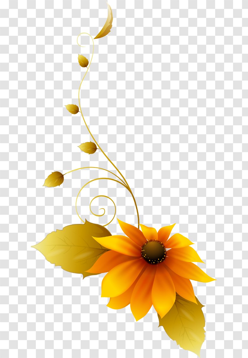 Common Sunflower Floral Design Still Life Photography Cut Flowers - Yellow Transparent PNG