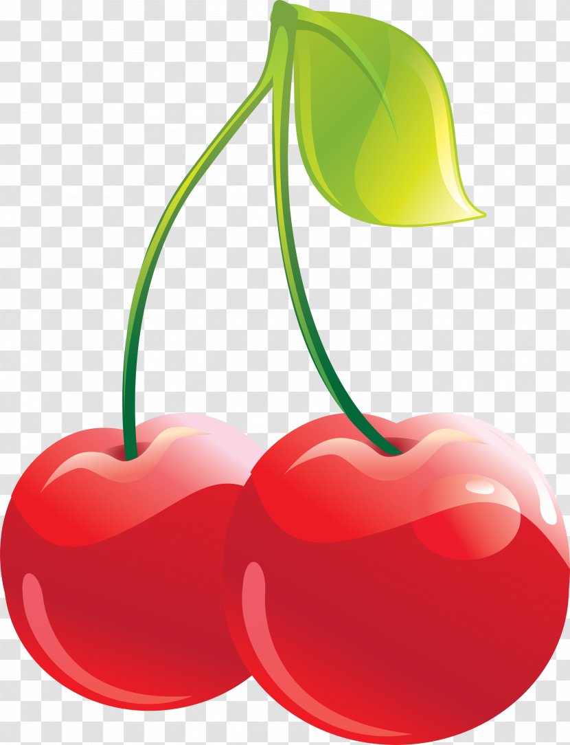 Cherry Pie Chocolate-covered Rainier Clip Art - Image Transparent PNG