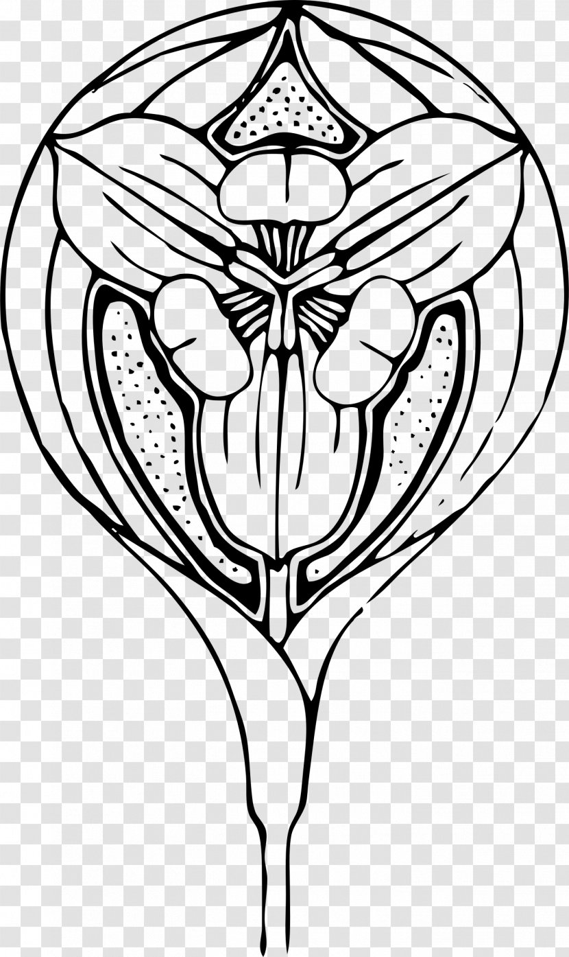 Art Nouveau Clip - Drawing - Tulips Transparent PNG