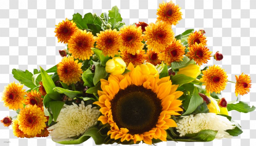 Common Sunflower Flower Bouquet Desktop Wallpaper - Arranging - Chrysanthemum Transparent PNG