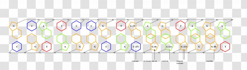 Line Point Pattern - Area Transparent PNG