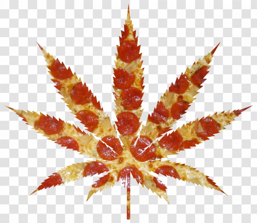 Kush Cannabis Smoking Bong 420 Day - Joint - Pot Leaf Transparent PNG
