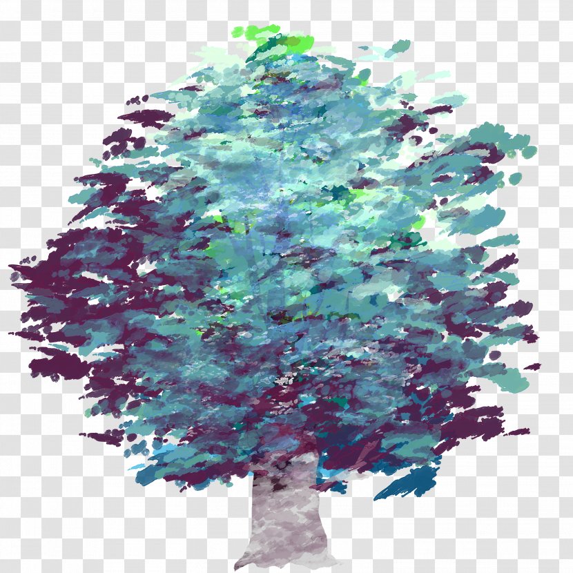 Spruce Christmas Ornament Tree Fir Pine - Decoration Transparent PNG