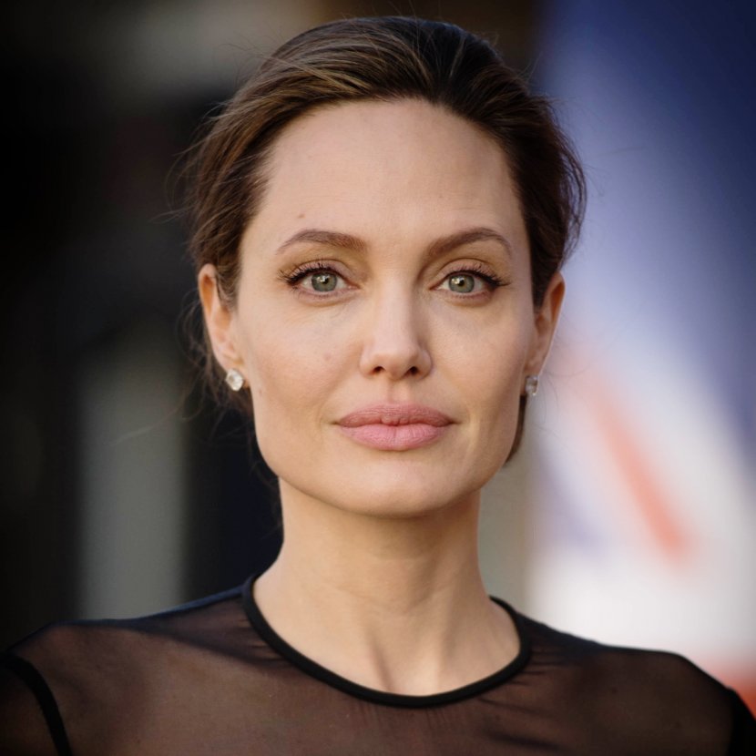 Angelina Jolie Hollywood Wanted Actor Divorce - Flower Transparent PNG