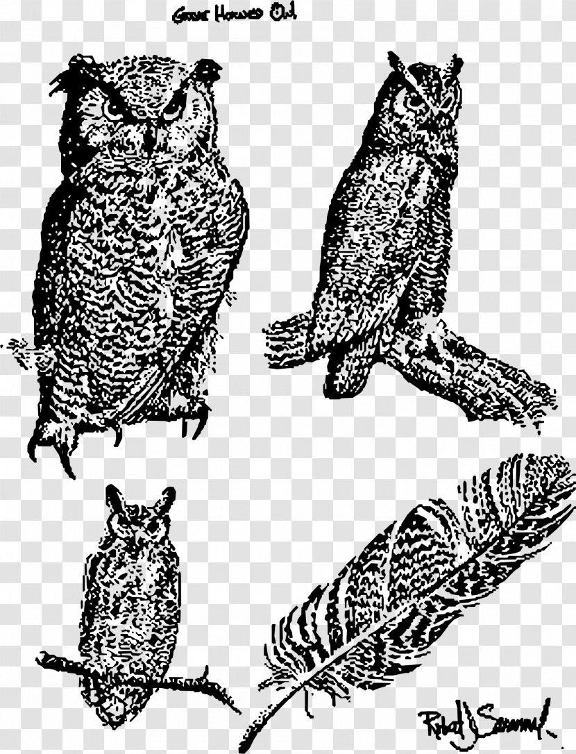 Great Horned Owl Bird Of Prey Snowy - Fauna - Owls Transparent PNG