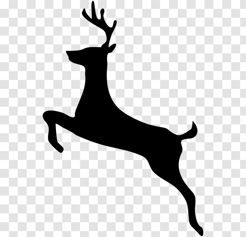 White-tailed Deer Clip Art - Stencil Transparent PNG
