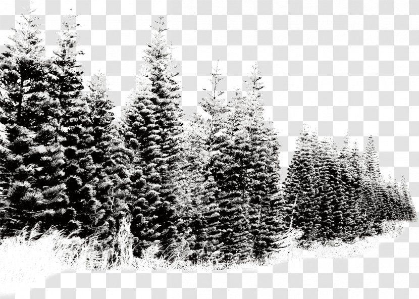 Snow Tree - Pattern - Winter Landscape Transparent PNG